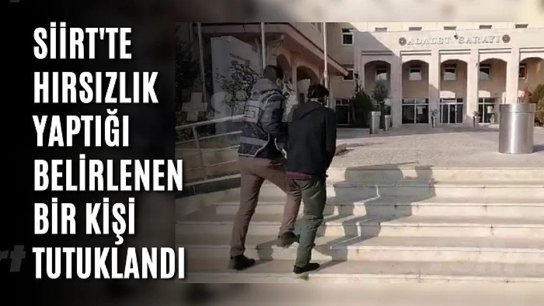Siirt'te Hırsızlık Yaptığı Belirlenen Bir Kişi Tutuklandı