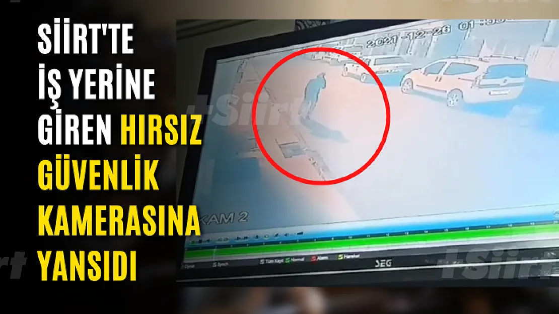 Siirt'te İş Yerine Giren Hırsız Güvenlik Kamerasına Yansıdı