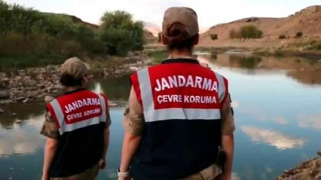 Siirt'te jandarma kaçak avcılara yönelik denetimlere devam ediyor