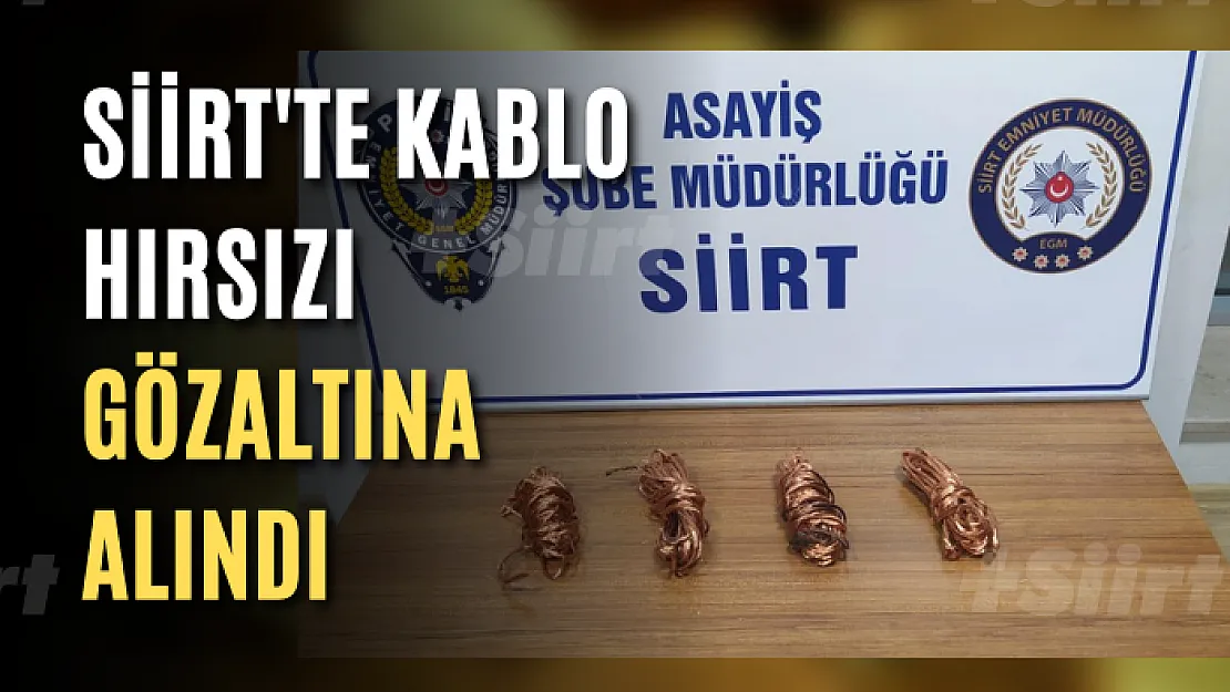 Siirt'te Kablo Hırsızı Gözaltına Alındı