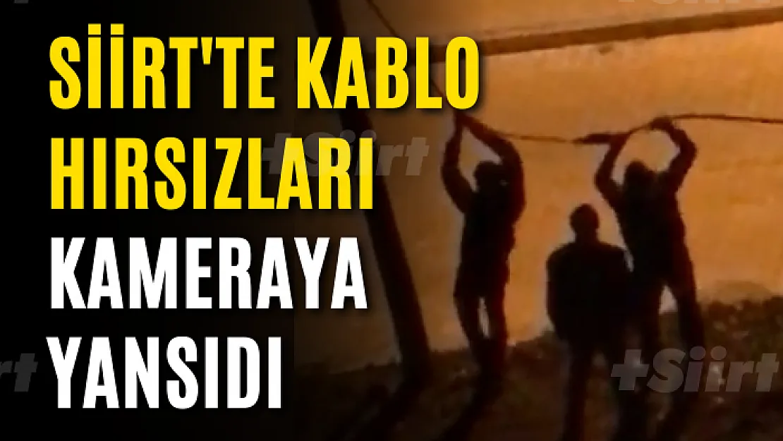 Siirt'te Kablo Hırsızları Kameraya Yansıdı