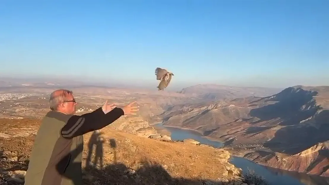 Siirt'te Kaçak Avcılara Ceza: 3 Kınalı Keklik Doğaya Salındı