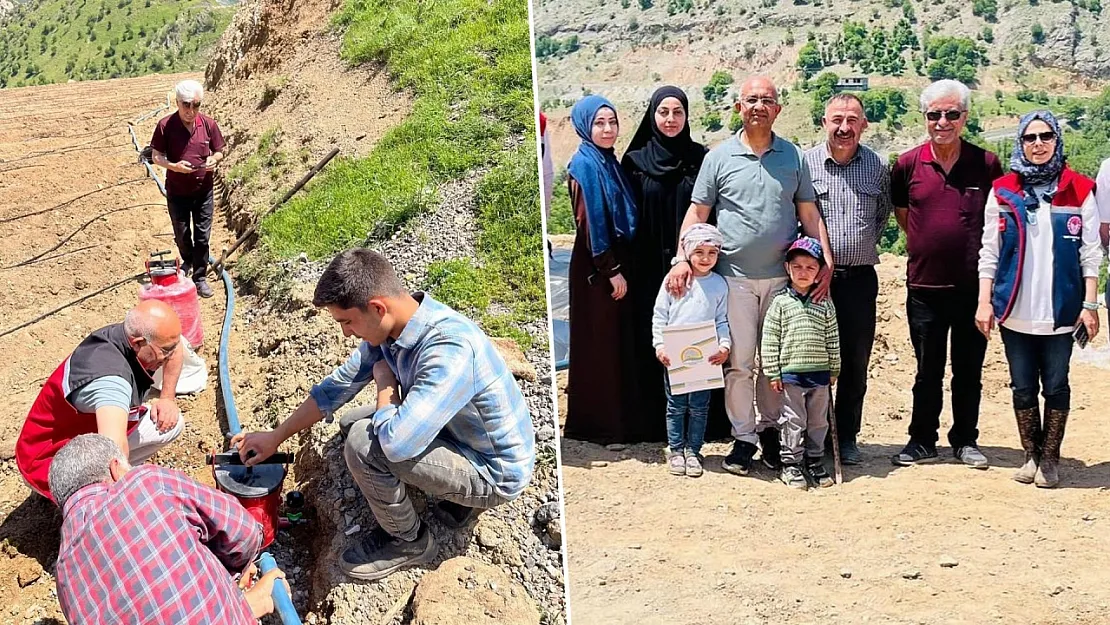 Siirt'te Kadınların Ektiği Çilek Sason Çileğine Rakip Olacak