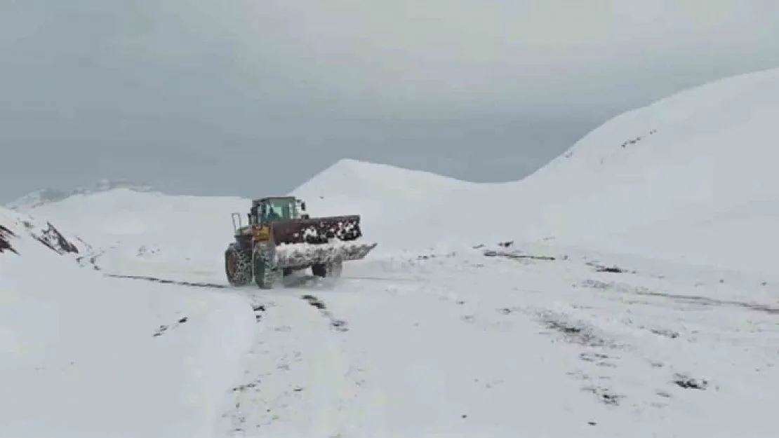 Siirt'te kar nedeniyle kapanan köy yolları ulaşıma açıldı