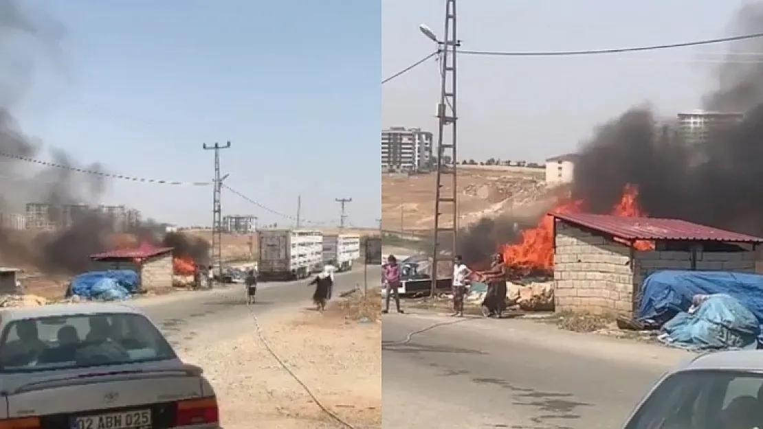 Siirt'te korkutan yangın! Kadınlar yangını söndürmek için seferber oldu