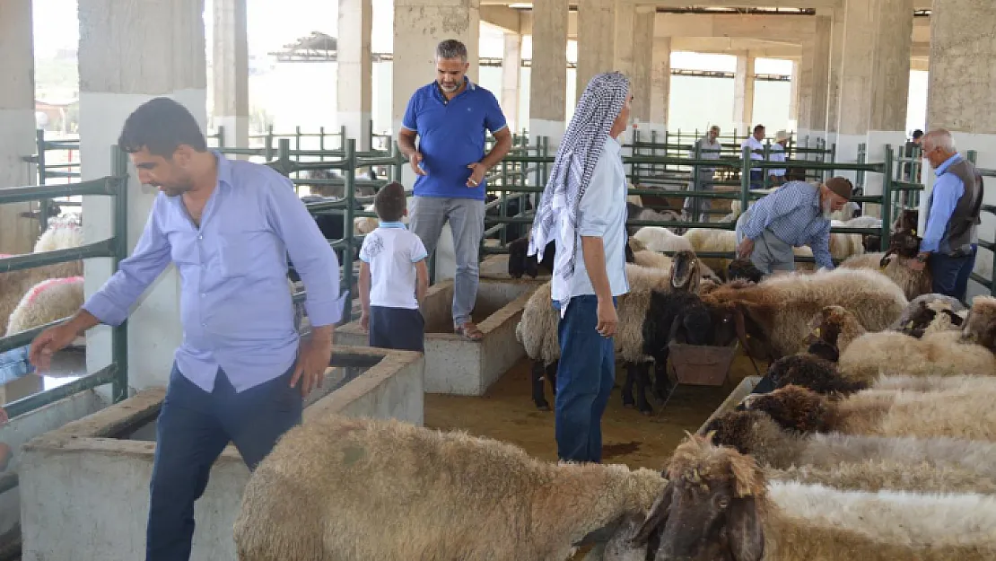 Siirt'te Kurban Satış ve Kesim Yerleri Belirlendi