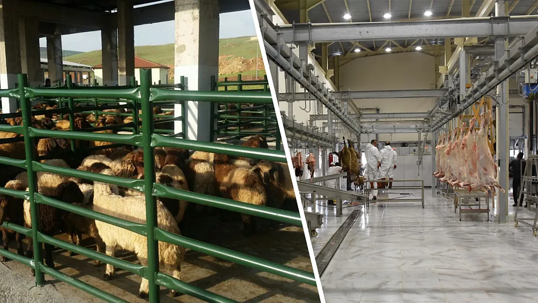 Siirt'te Kurban Satış ve Kesim Yerleri Açıklandı! Belediye O Konuda Vatandaşları Uyardı