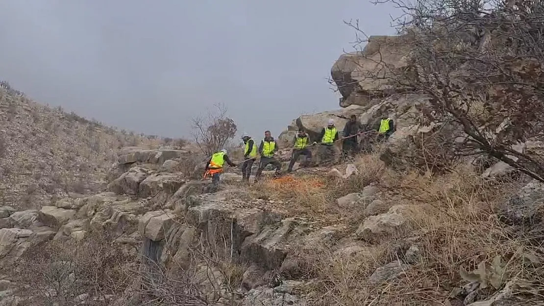 Siirt'te Mahsur Kalan 5 Keçi, Ekiplerin 1 Saatlik Müdahalesiyle Kurtarıldı