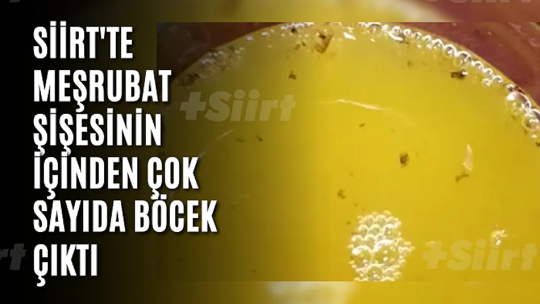 Siirt'te Meşrubat Şişesinin İçinden Çok Sayıda Böcek Çıktı