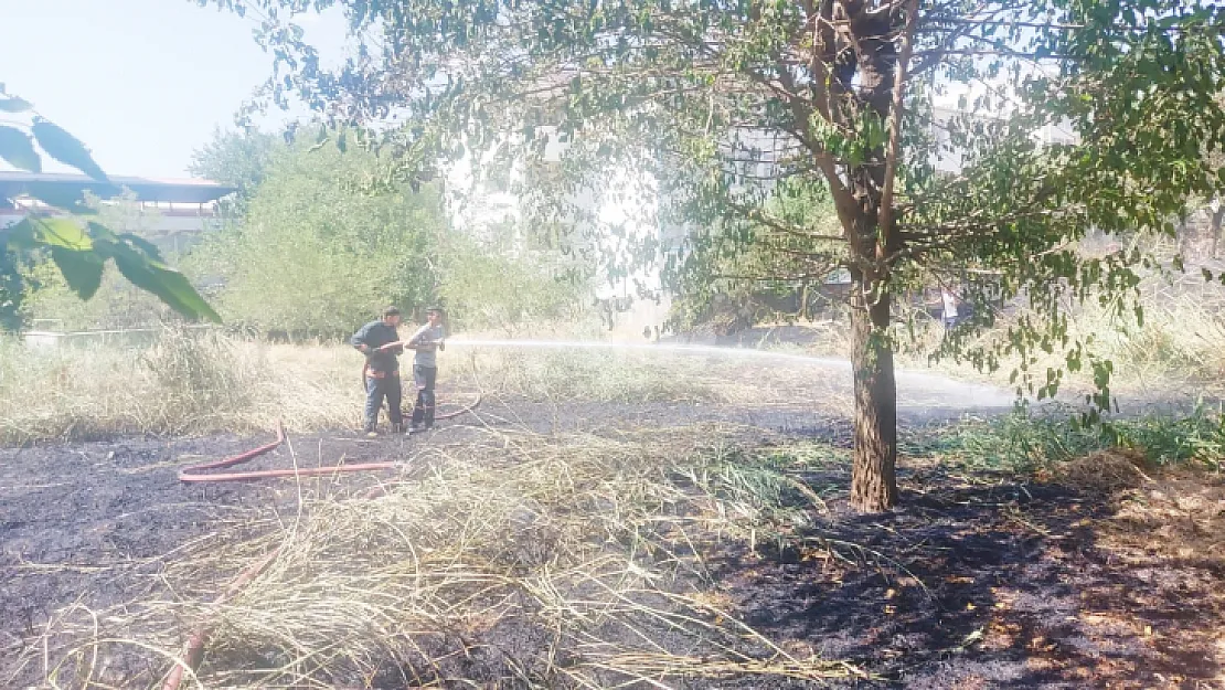 Siirt'te mezarlıkta yangın çıktı