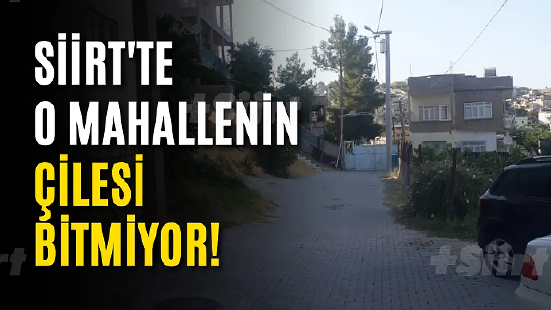 Siirt'te O Mahallenin Çilesi Bitmiyor!