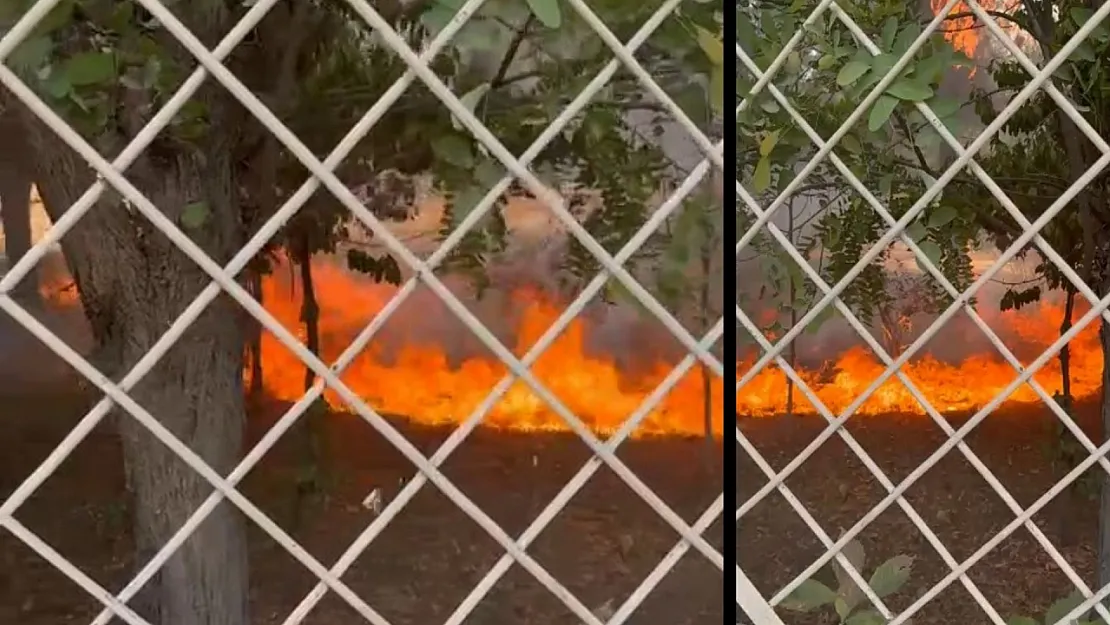 Siirt'te Öğretmenevi Bitişiğinde Yangın Paniği