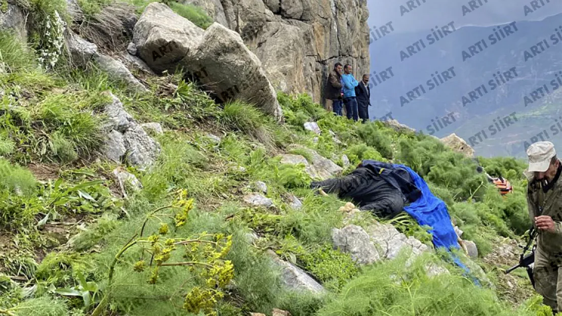 Siirt'te Ot Toplarken Uçurumdan Düşen 55 Yaşındaki Adam Hayatını Kaybetti