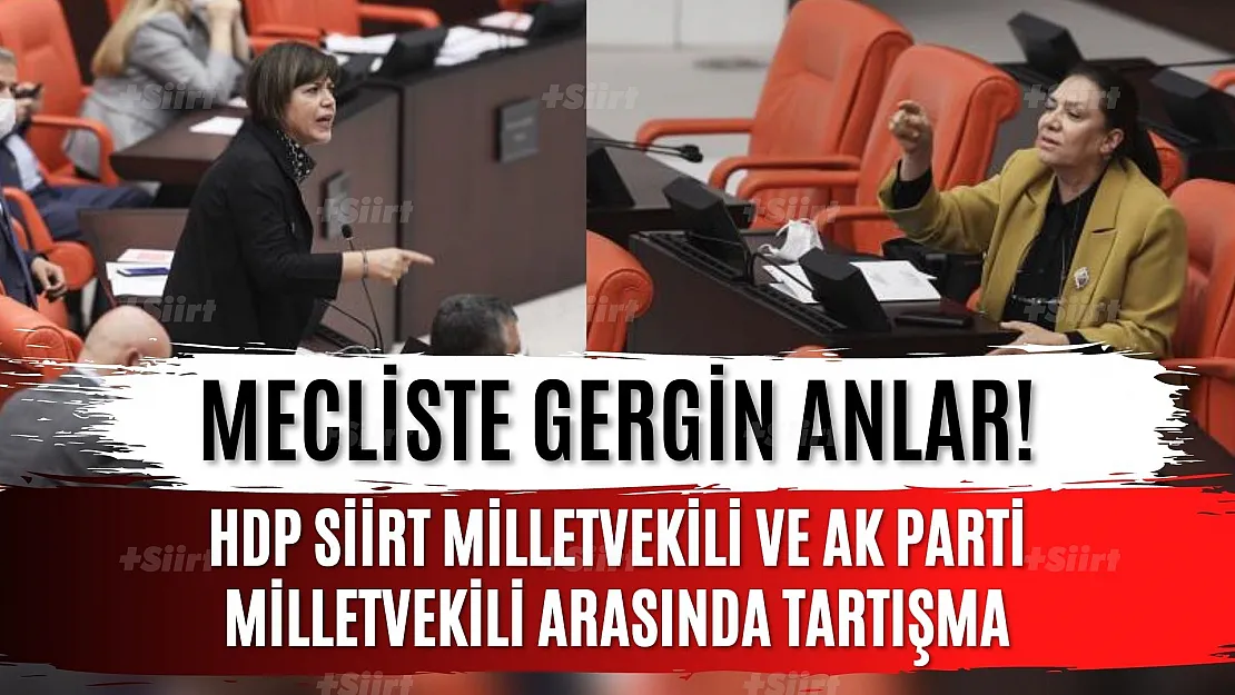 Mecliste Gergin Anlar! HDP Siirt Milletvekili ve Ak Parti Milletvekili Arasında Tartışma