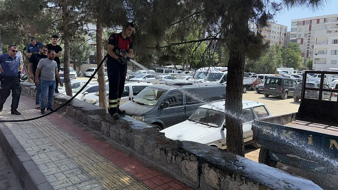 Siirt'te Otoparkta Çıkan Ot Yangını Araçlara Sıçramadan Söndürüldü