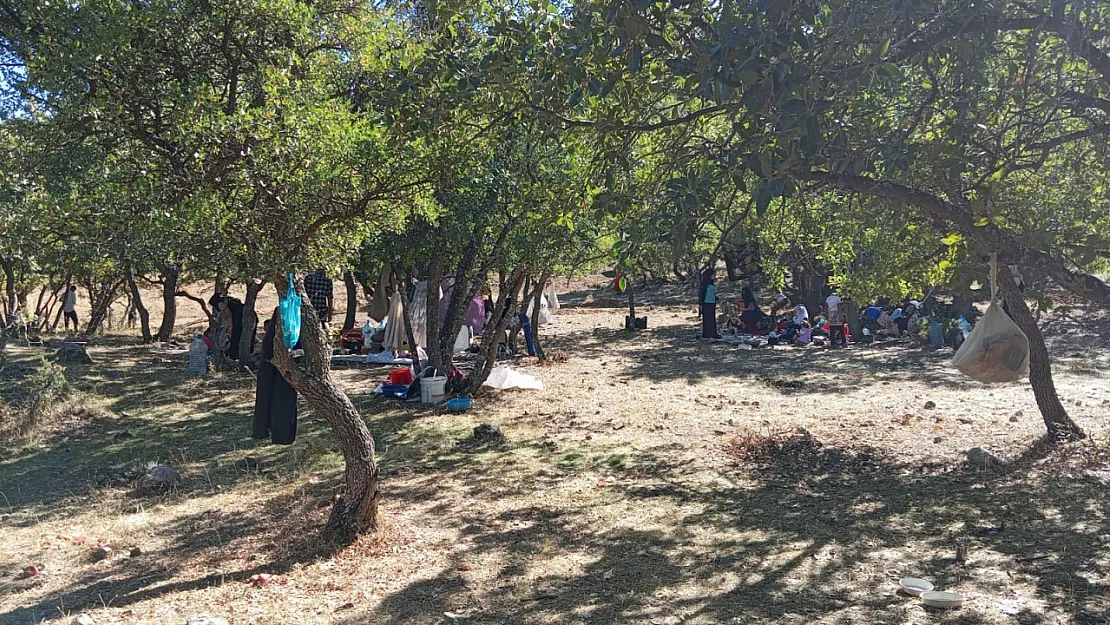 Siirt'te Pire Gavs Türbesi'ne Yoğun İlgi