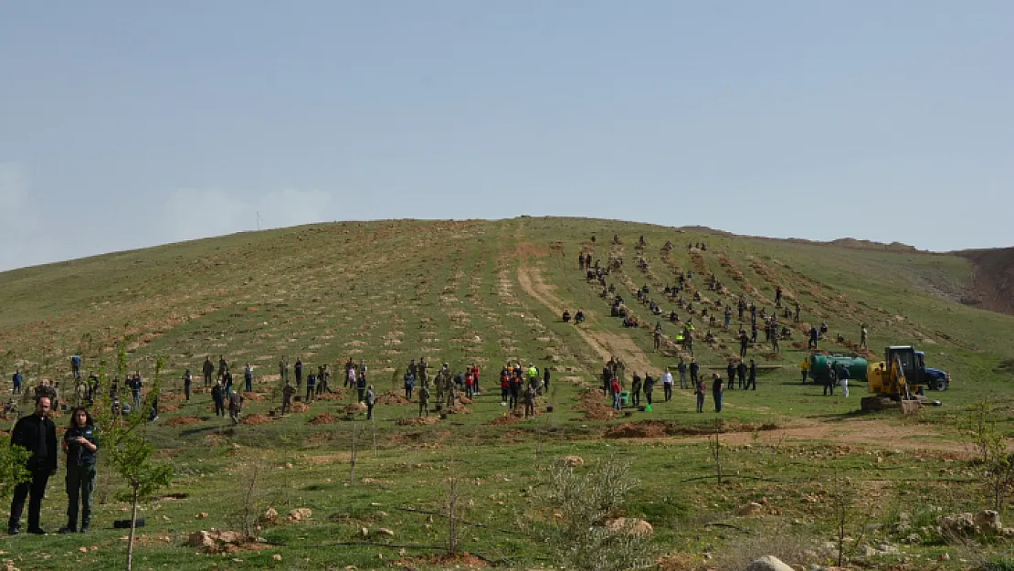 Siirt'te Polis Teşkilatının 177. kuruluş yılı nedeniyle 177 fidan dikildi