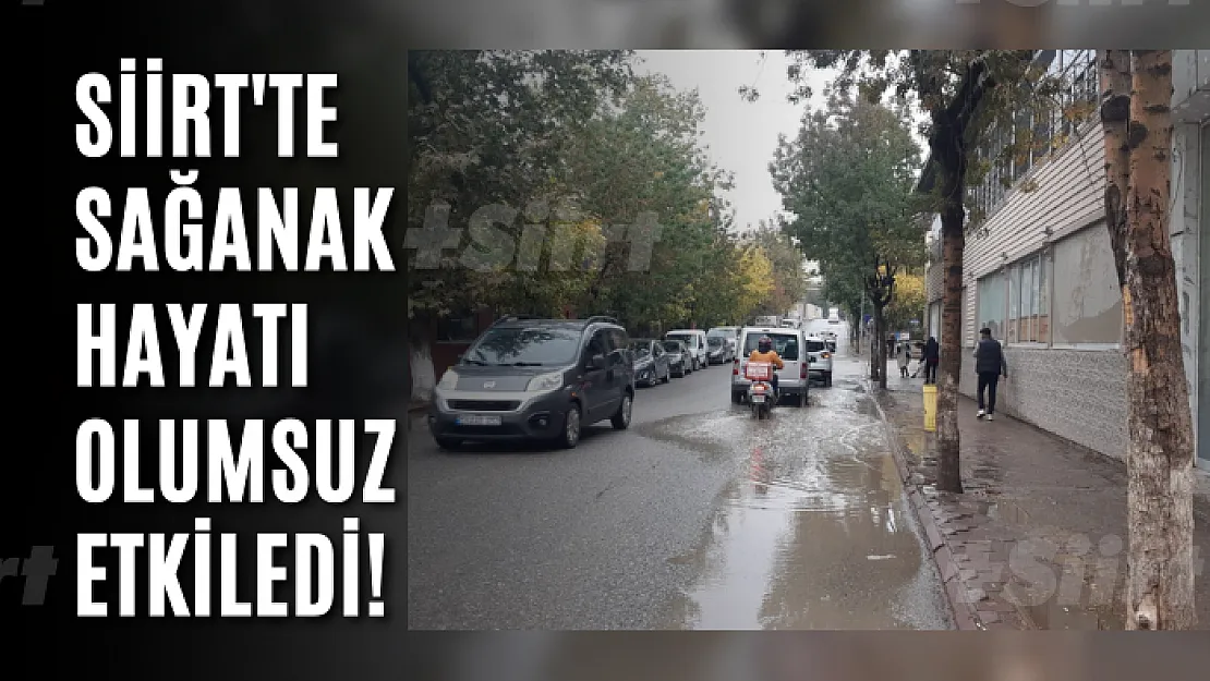 Siirt'te Sağanak Hayatı Olumsuz Etkiledi!