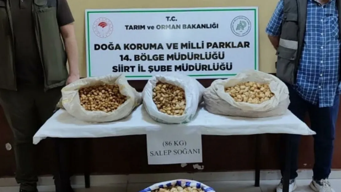 Siirt'te salep soğanı toplayan şahıslara 387 bin 141 lira ceza kesildi