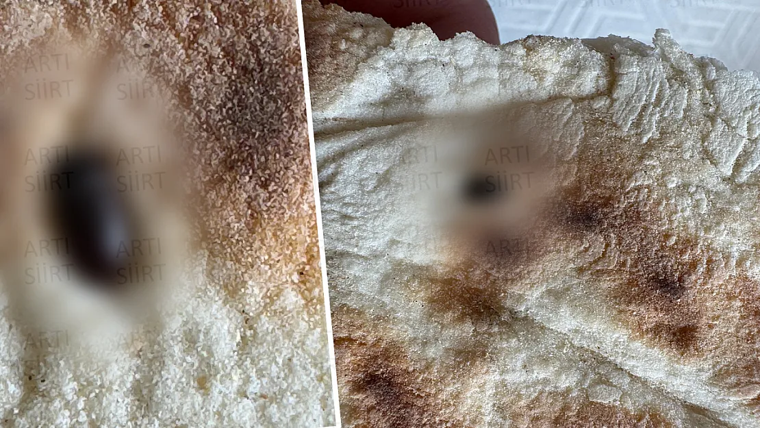 Siirt'te Satın Alınan Ekmekten Böcek Çıktı