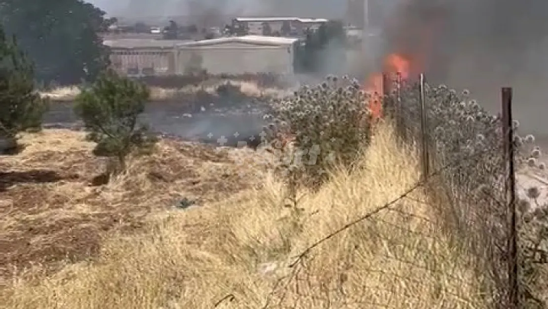 Siirt'te Seyir Halindeki Araçtan Atılan İzmarit Tehlikeli Anlara Neden Oldu!