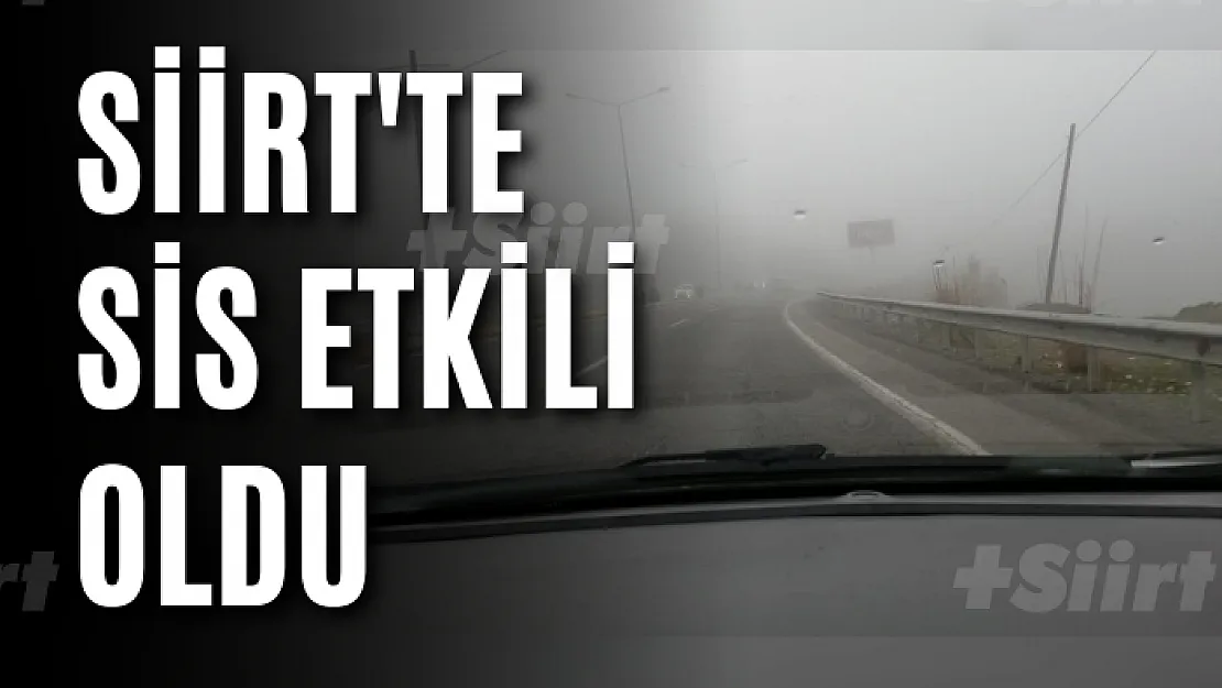 Siirt'te Sis Etkili Oldu