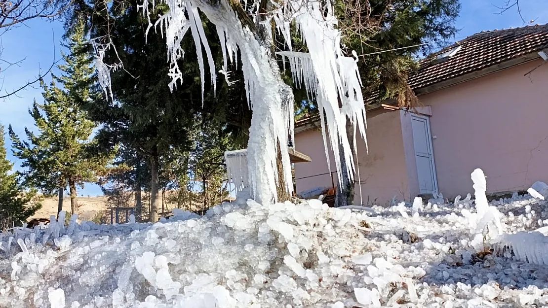 Siirt'te Soğuk Hava Etkili Oldu: Ağaçlarda Buz Sarkıtları Görsel Şölen Oluşturdu