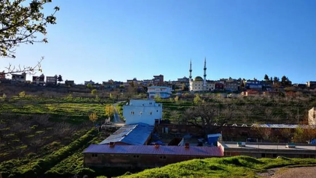 Siirt'te tarım arazisi icradan satılacak!