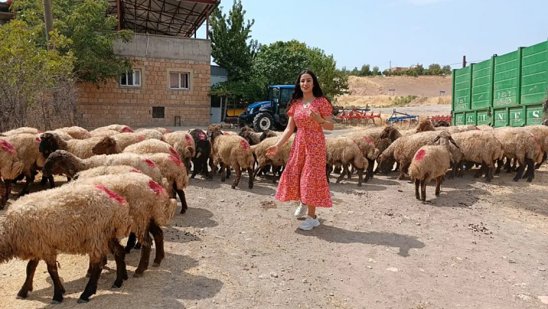 Siirt'te 'Tarımda Uzman Eller'' Projesi Hayata Geçti