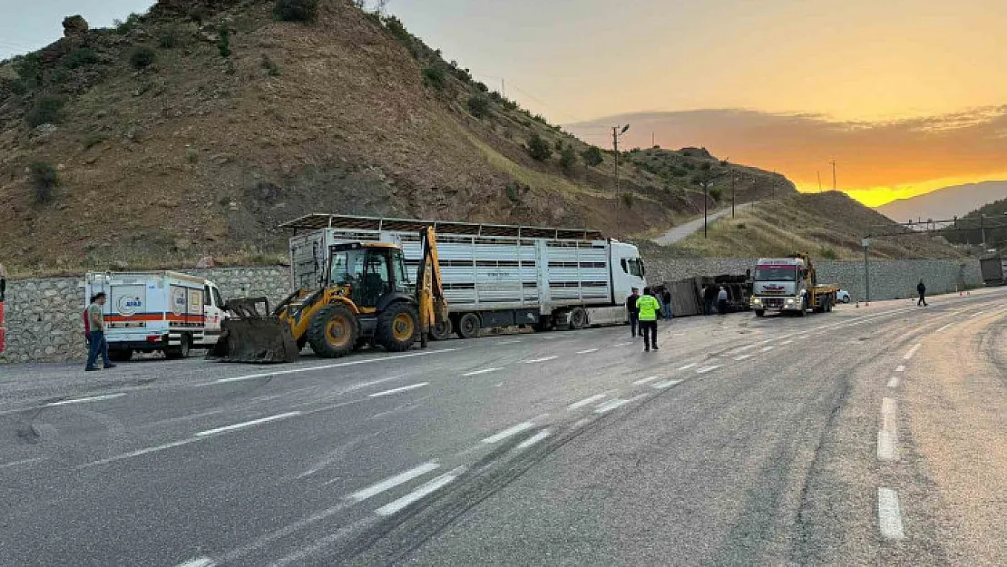 Siirt'te tır devrildi: 2 kişi yaralandı, 40 küçükbaş hayvan telef oldu