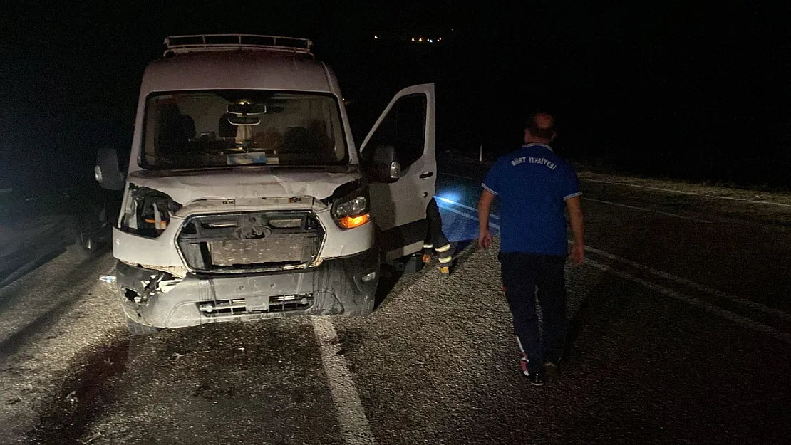Siirt'te Trafik Kazası: Araç Eşeğe Çarptı, Eşek Telef Oldu