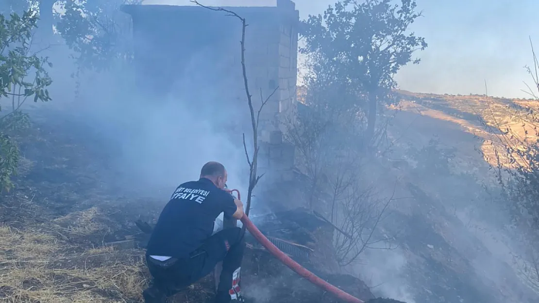 Siirt'te Türbe Etrafında Bağ Yangını!