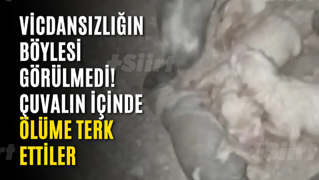 Siirt'te Vicdansızlığın Böylesi Görülmedi