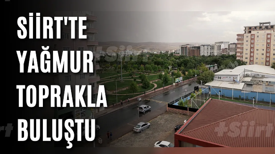 Siirt'te Yağmur Toprakla Buluştu