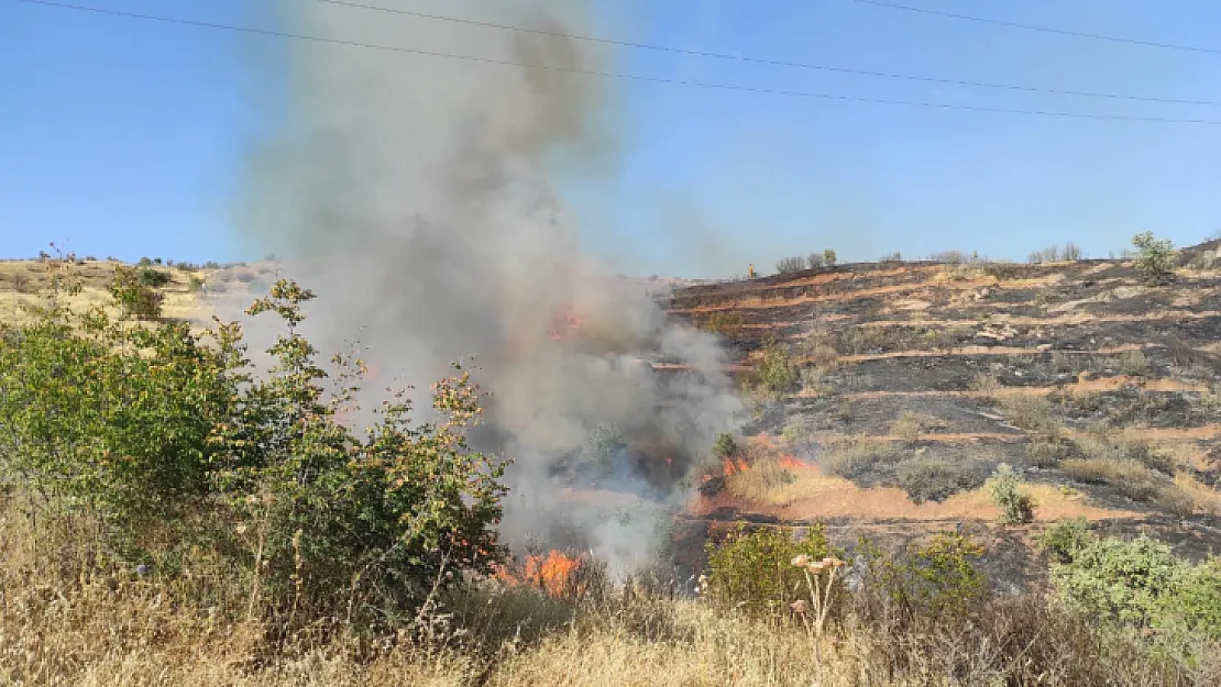 Siirt'te Yanan TIR, Ormanlık Alana Sıçradı 