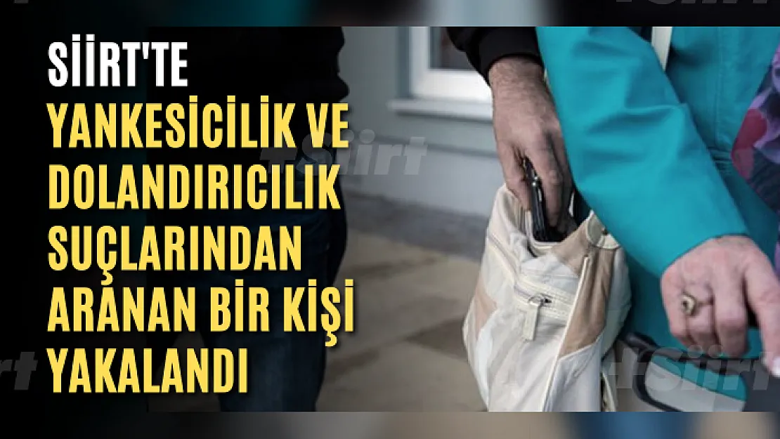 Siirt'te Yankesicilik ve Dolandırıcılık Suçlarından Aranan Bir Kişi Yakalandı