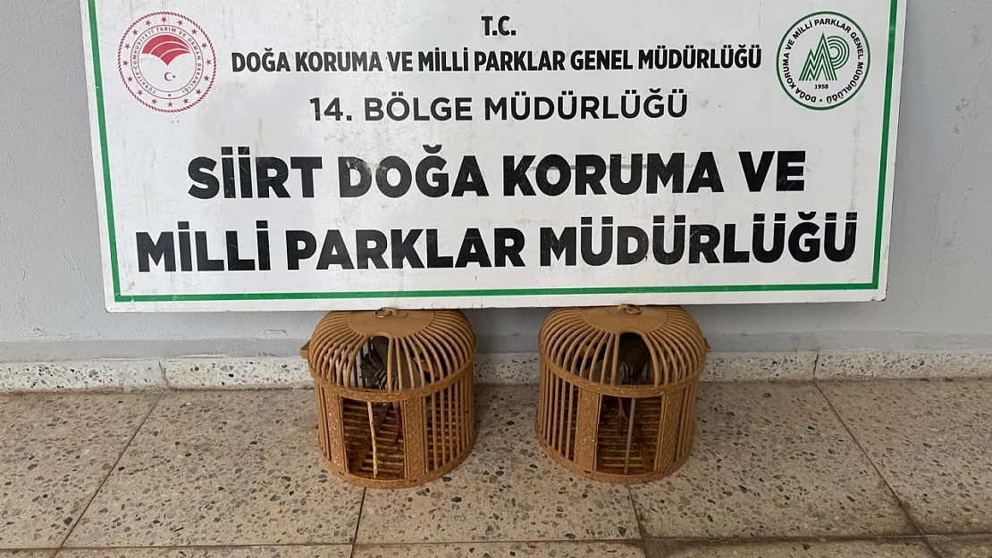 Siirt'te Yasaklı Kınalı Keklik Satışına Ceza Kesildi