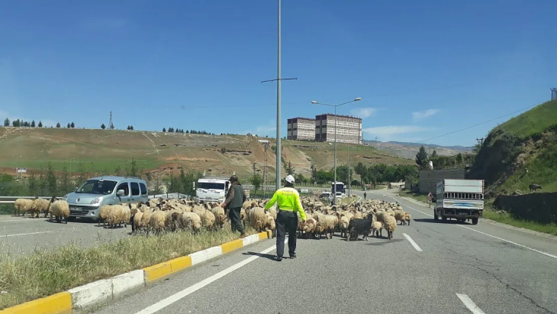 Siirt'te Yolda İlerlemekte Zorluk Çeken Göçer Aileye Trafik Polisleri Yardım Etti