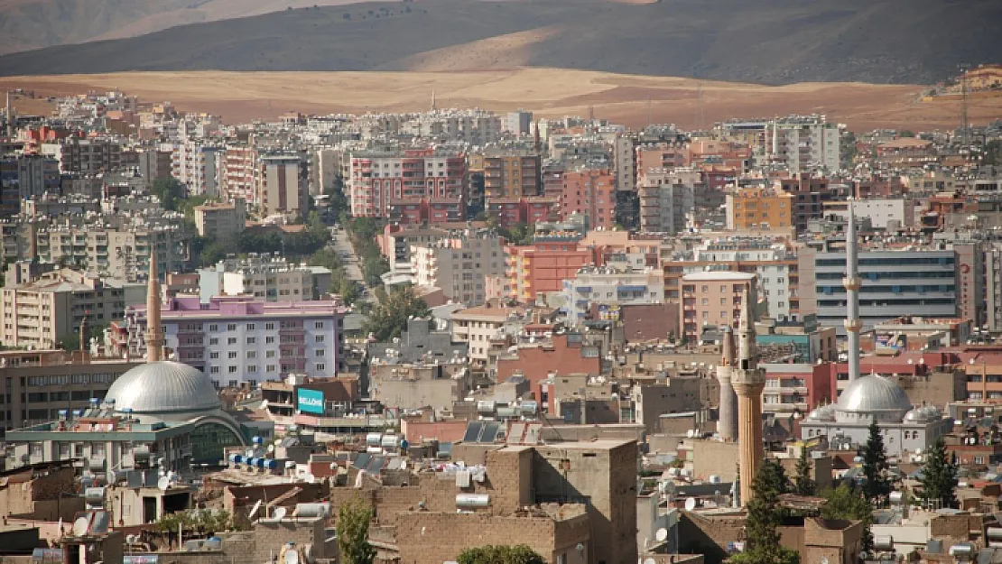 Siirt tek kişilik hanehalkı oranının en düşük olduğu iller arasında!