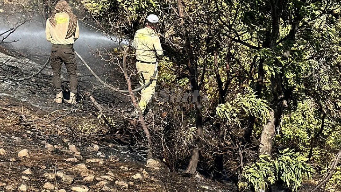 Siirt'teki Orman Yangını, 17 Saat Sonra Kontrol Altına Alındı!