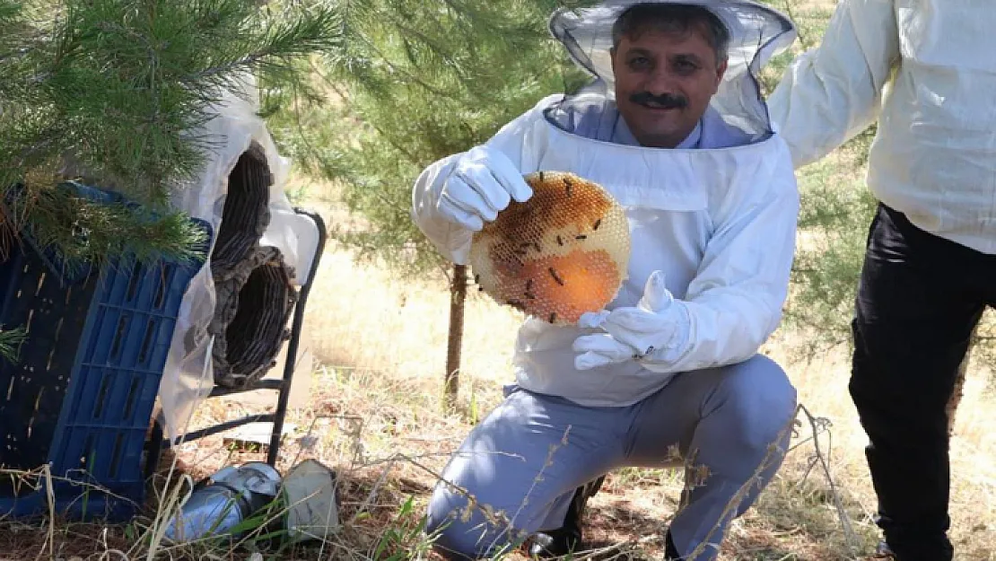 Siirt Üniversitesi'nde Bal Hasadı Başladı!