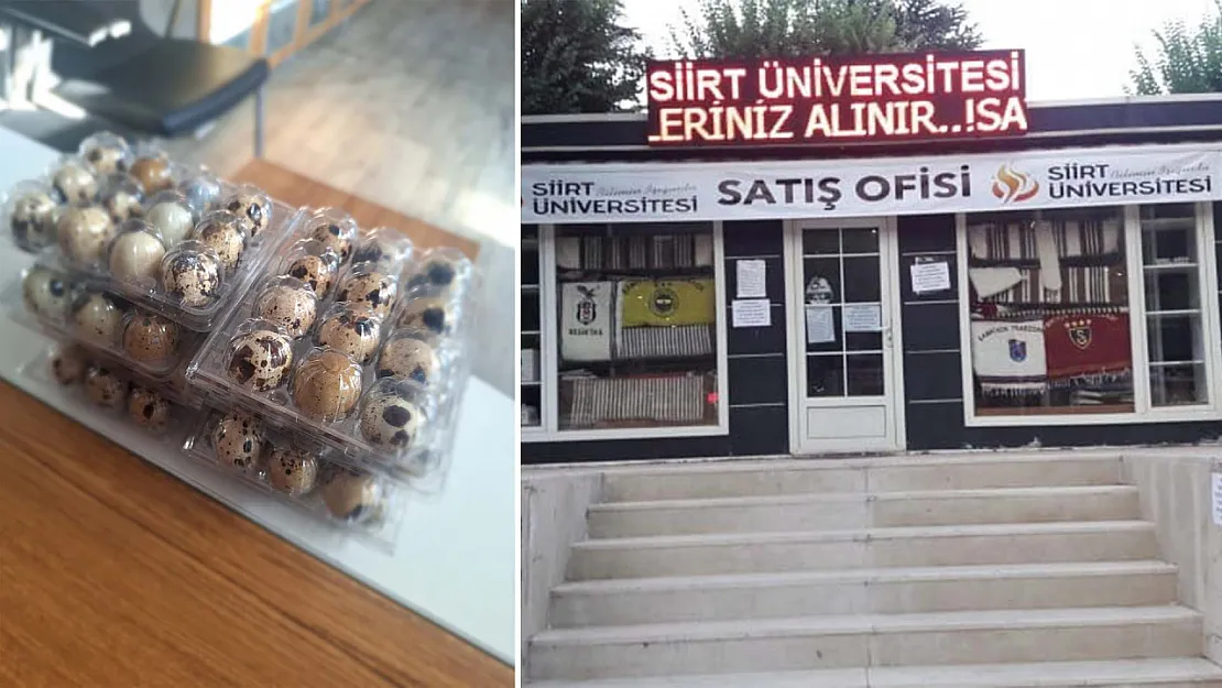 Siirt Üniversitesi'nde Bıldırcın Yumurtası Satışı Başladı!