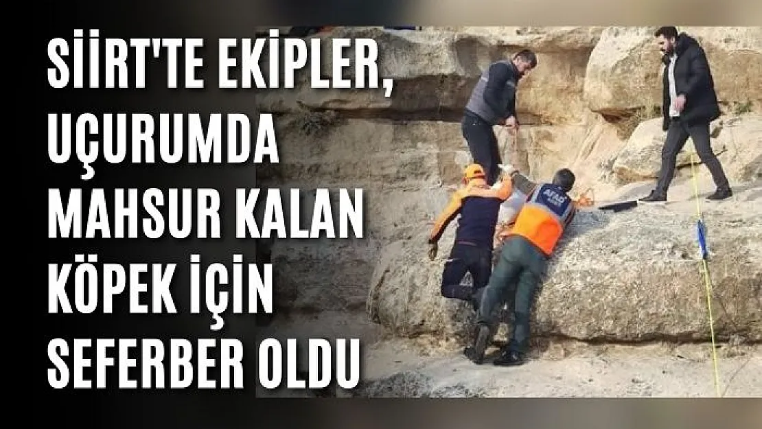 Siirt'te Ekipler, Uçurumda Mahsur Kalan Köpek İçin Seferber Oldu