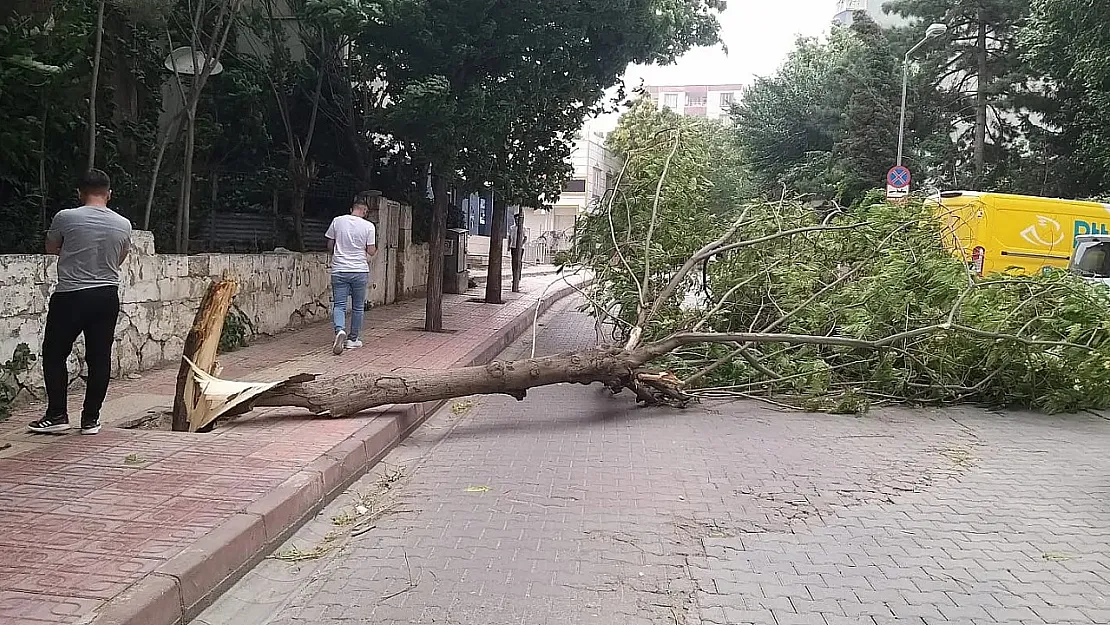 Siirt ve Bölge İlleri İçin Kuvvetli Yağış Uyarısı!
