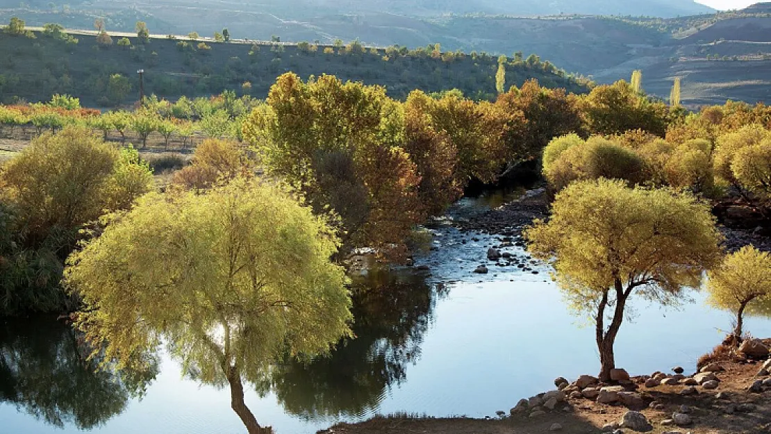 Siirt Zorava Çayı Davasında Önemli Karar Verdil!