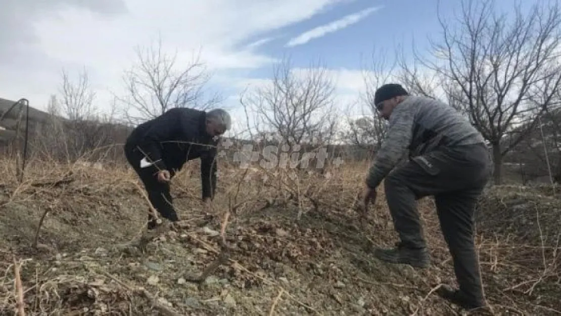 Siirtli Çiftçiler dikkat! Tarım ve Orman İl Müdürlüğü Uyarılarda Bulundu