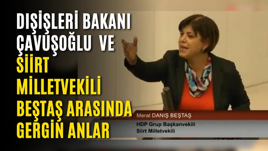 Dışişleri Bakanı Çavuşoğlu İle Siirt Milletvekili Arasında Gergin Anlar