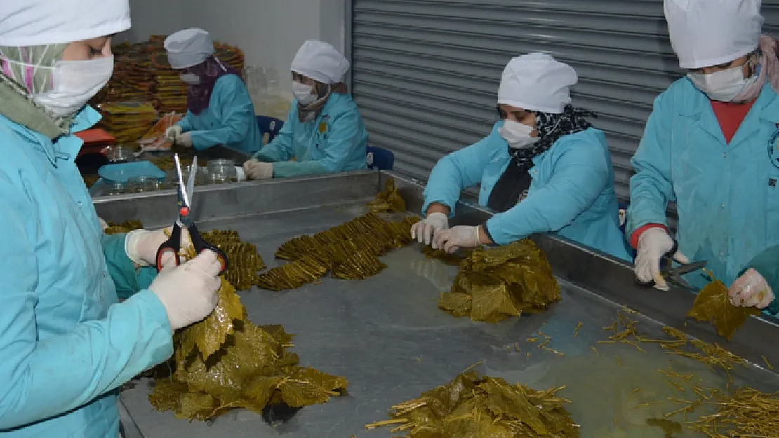 Siirtli kadınlar ürettikleri ürünle hem aile hem de şehir ekonomisine büyük katkı sağlıyor