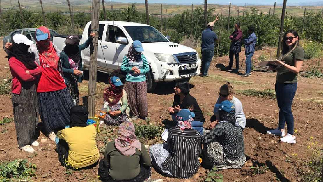 Siirtli Kadınlara Kooperatifçilik Eğitimi Verildi
