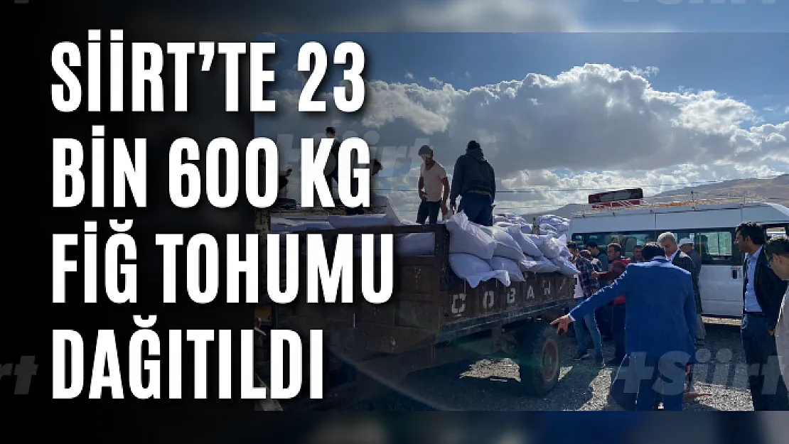 Siirt'te 23 Bin 600 Kg Fiğ Tohumu Dağıtıldı